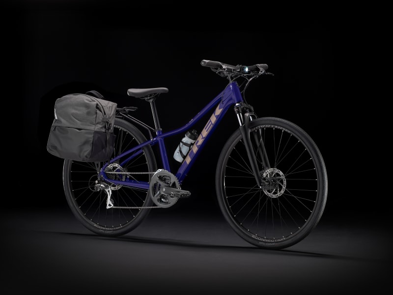 Trek dual sport sales 2 women's 2019