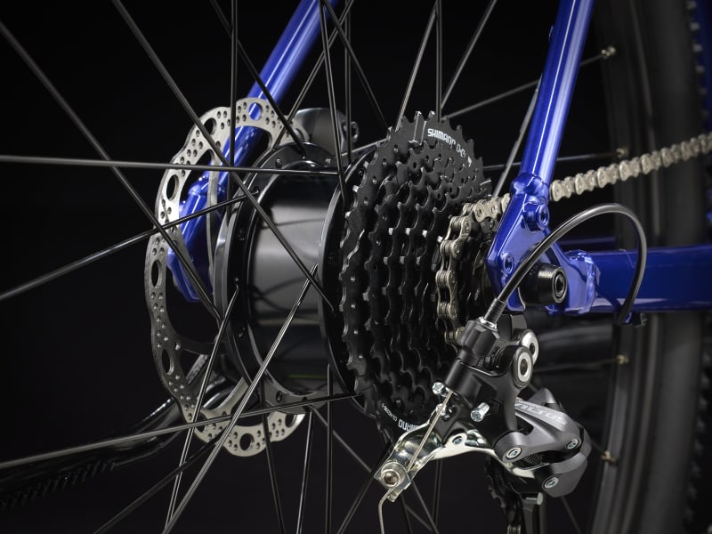Zektor 2 stagger 18 2025