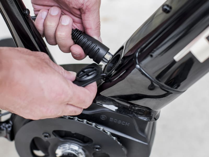 2019 trek dual sport 2025