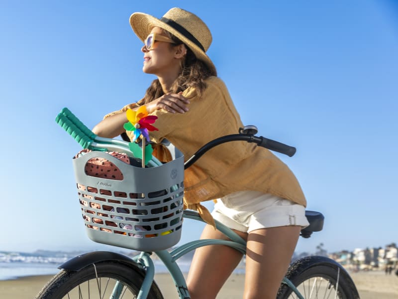 Electra townie baskets outlet