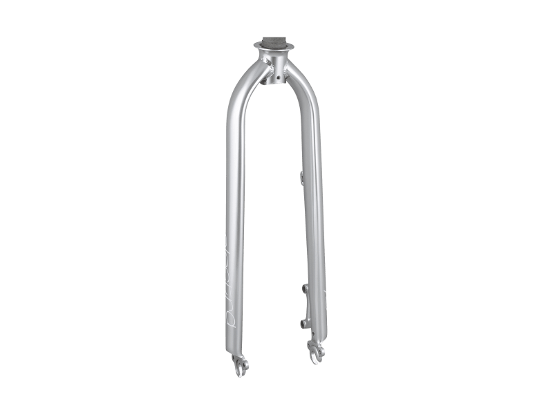 Electra Townie Go! 8i Ladie's Disc Brake Rigid Forks