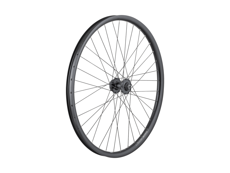 Electra townie 3d 2025