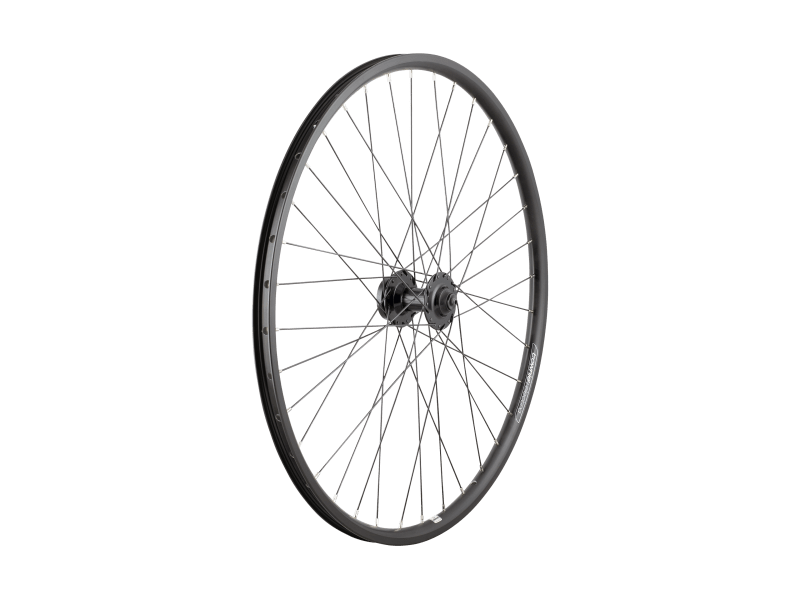 Electra Townie Go 8D 26