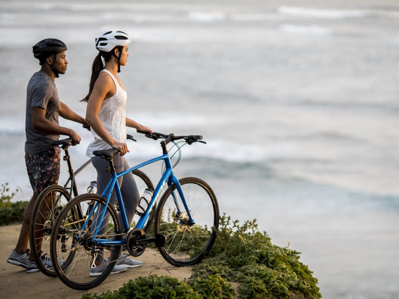 Trek fx 2 2021 deals