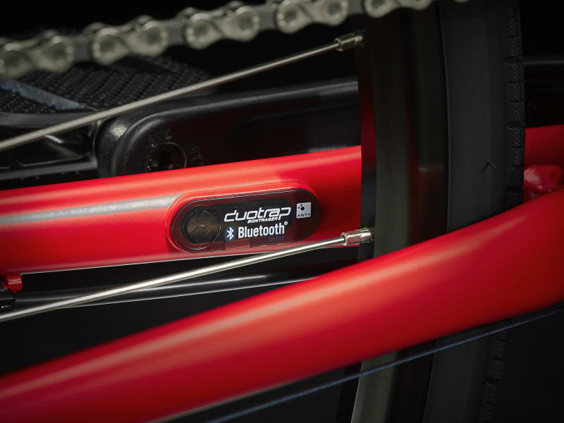 Trek fx2 cheap xxl
