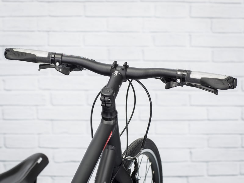 Trek fx 3 women's 2019 outlet