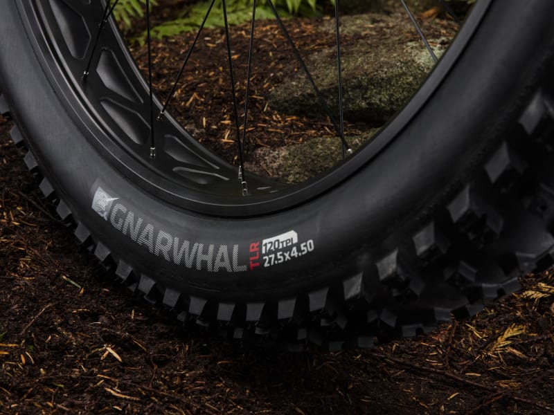 2020 trek new arrivals farley