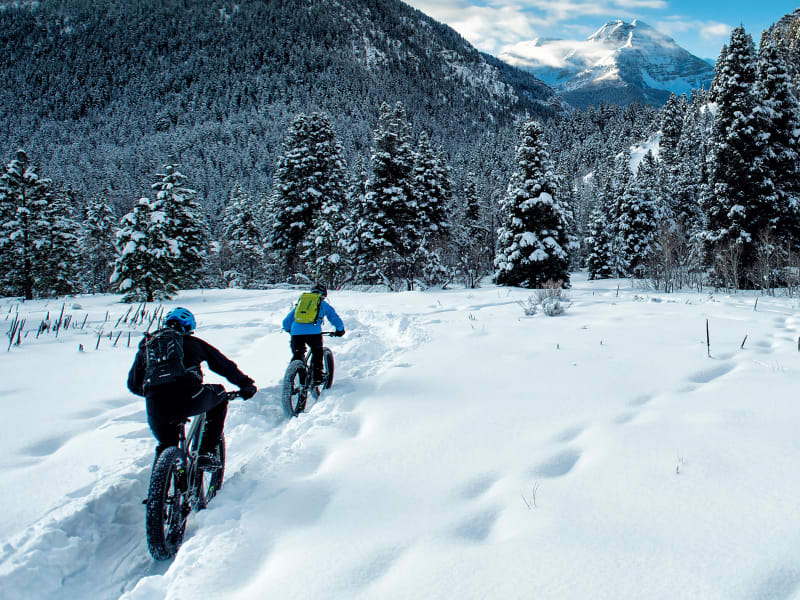 Farley 5 Trek Bikes CA