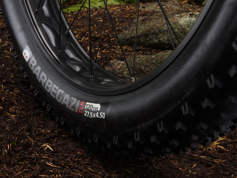 Farley 9.6 Trek Bikes