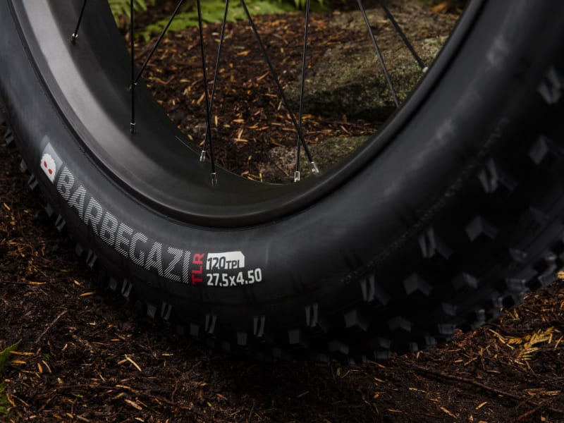 Farley 9.8 Trek Bikes CA
