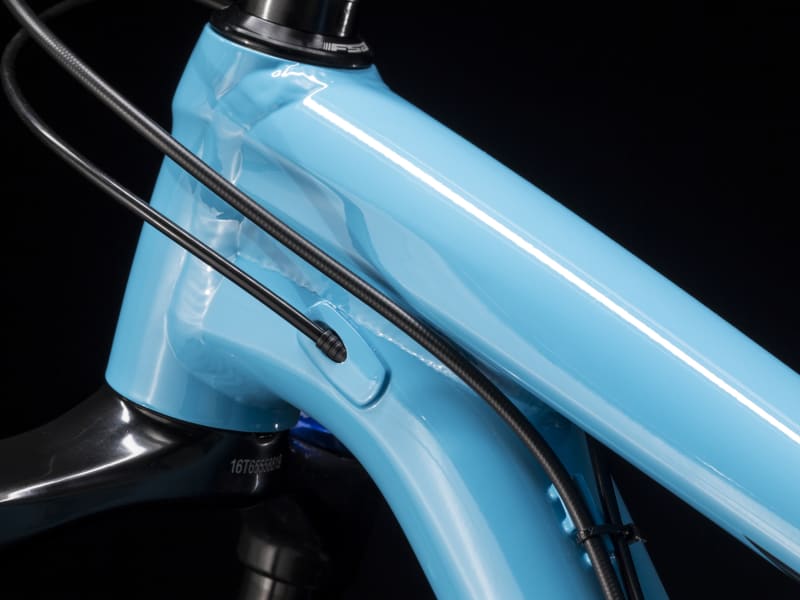 Farley EX 8 Trek Bikes