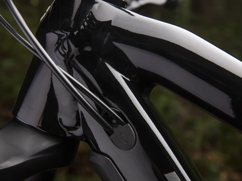 2019 trek fuel ex 5 29er on sale