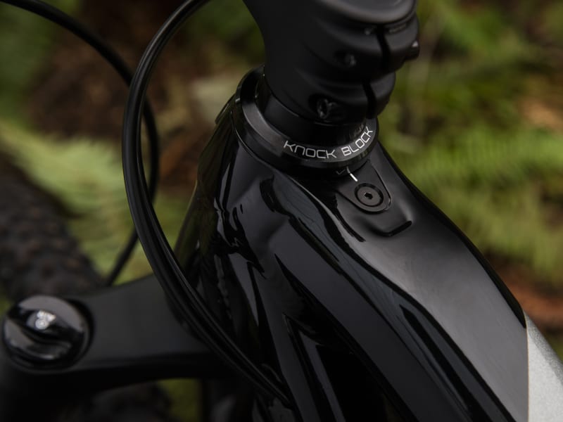 2019 trek fuel ex 5 29er on sale