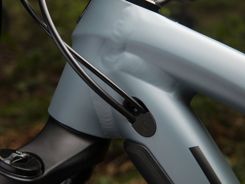 Trek fuel ex 5 women's 2019 hotsell