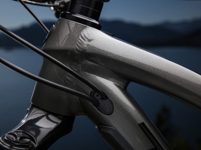 Trek fuel ex deals 5 wsd 2019