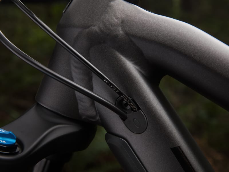 2019 trek fuel ex 8 27.5 plus best sale
