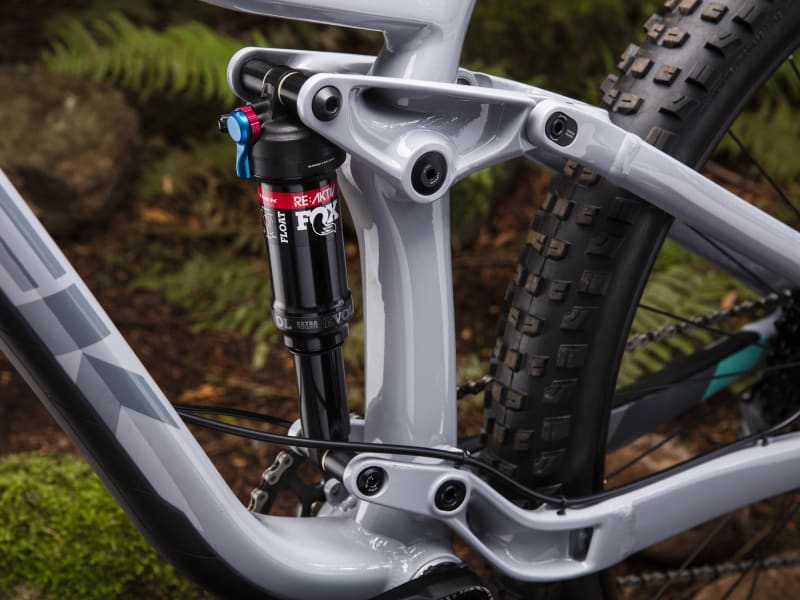 Trek fuel ex 8 women's review 2019 2025