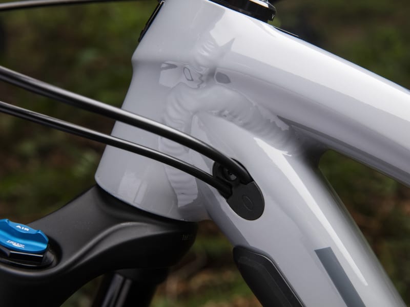 Trek fuel ex 8 women's review 2019 sales