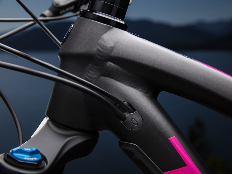 Trek fuel ex 8 women's hot sale