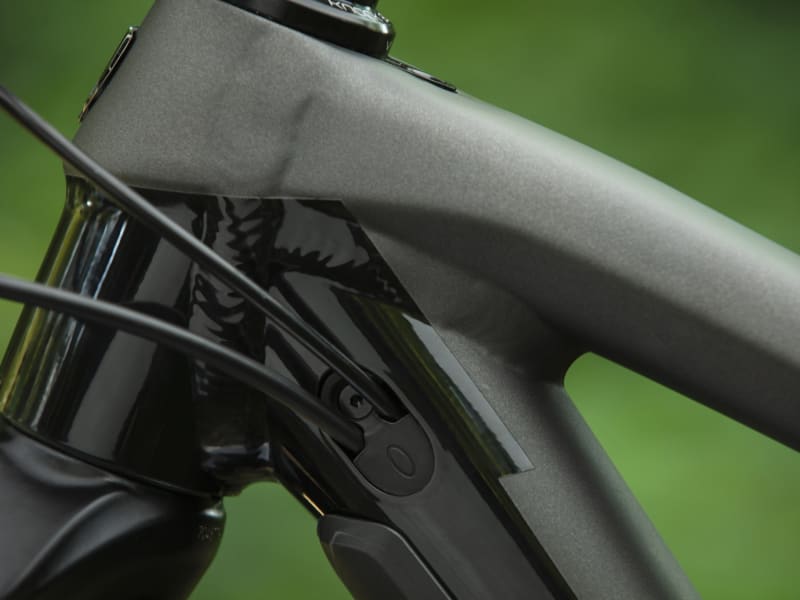 Fuel EX 8 - Trek Bikes