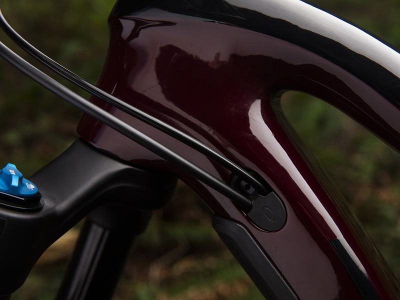 Trek remedy womens 2025