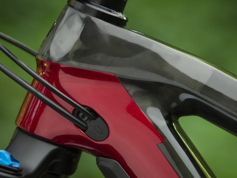Trek bikes currumbin store