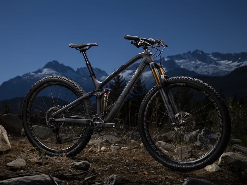 Trek fuel ex 9.9 29 2019 hot sale