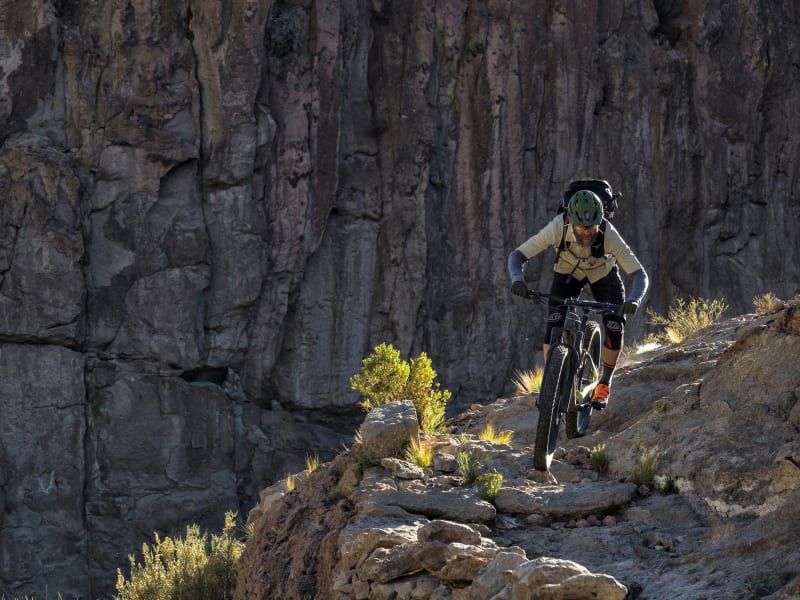 2019 trek full stache 8 deals