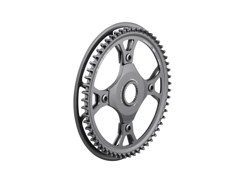 Belt drive chainring sale