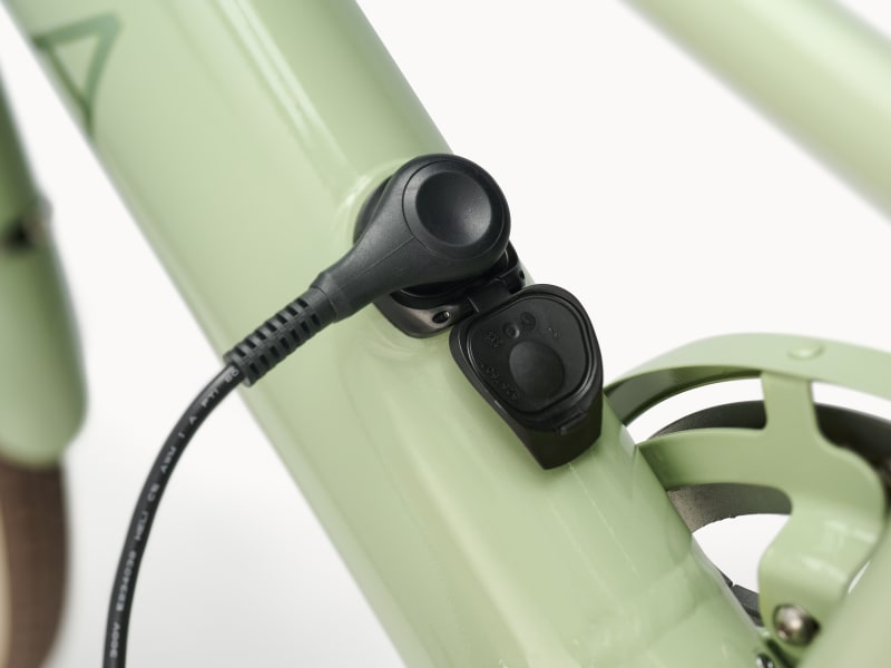 Trek loft clearance