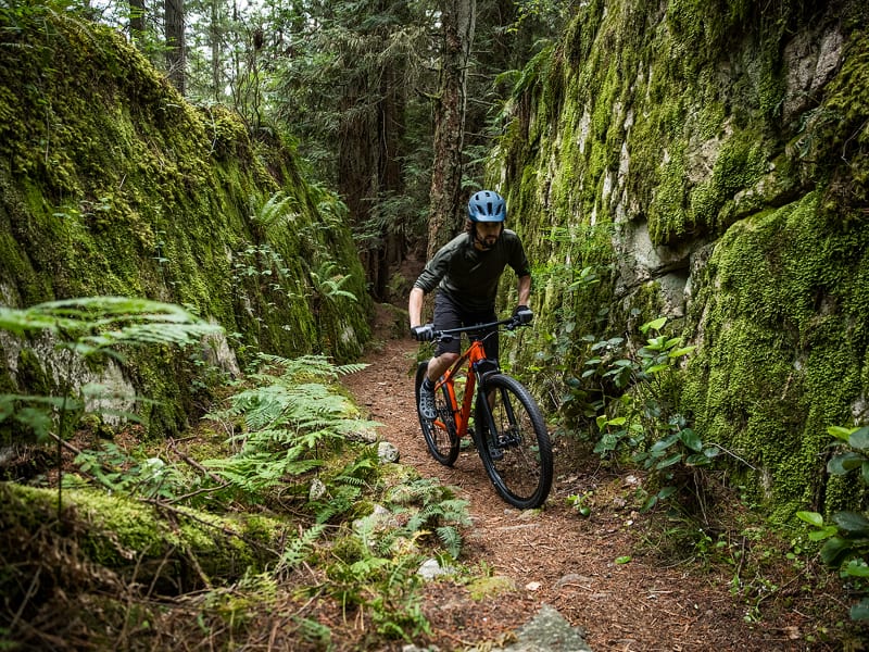 Marlin 6 - Trek Bikes
