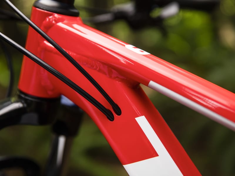 Marlin 6 Trek Bikes NZ