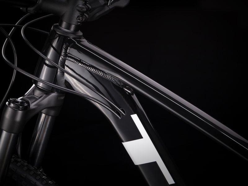 Trek service prices 2025