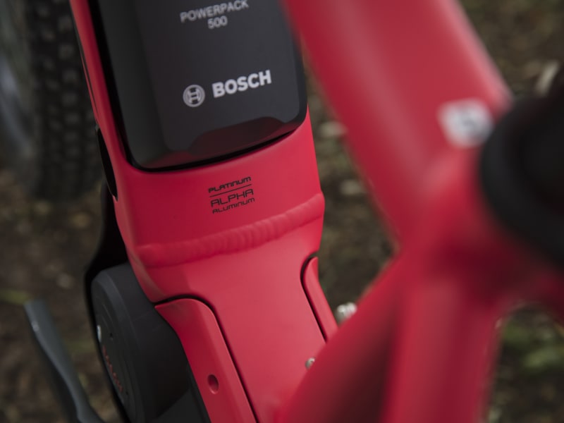 Trek powerfly 4 women's deals