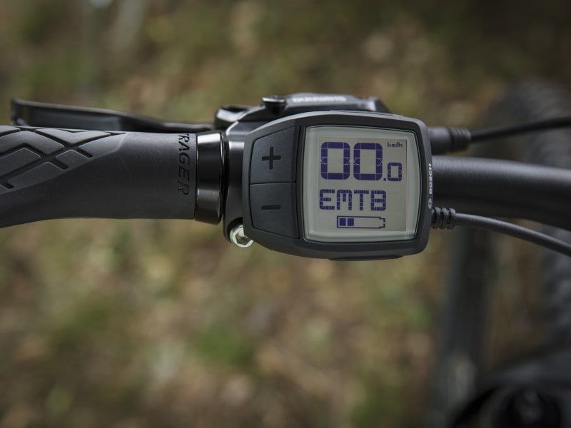 Trek powerfly store 5 women's 2019
