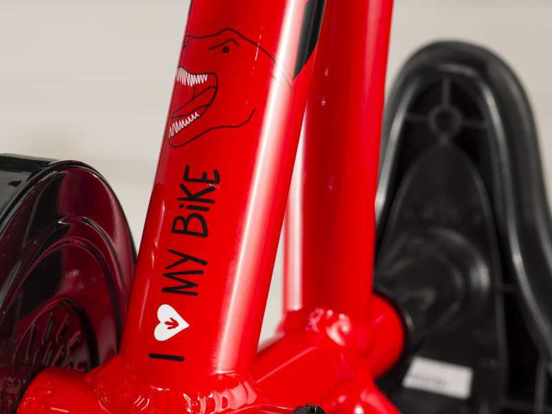 Trek boys hot sale