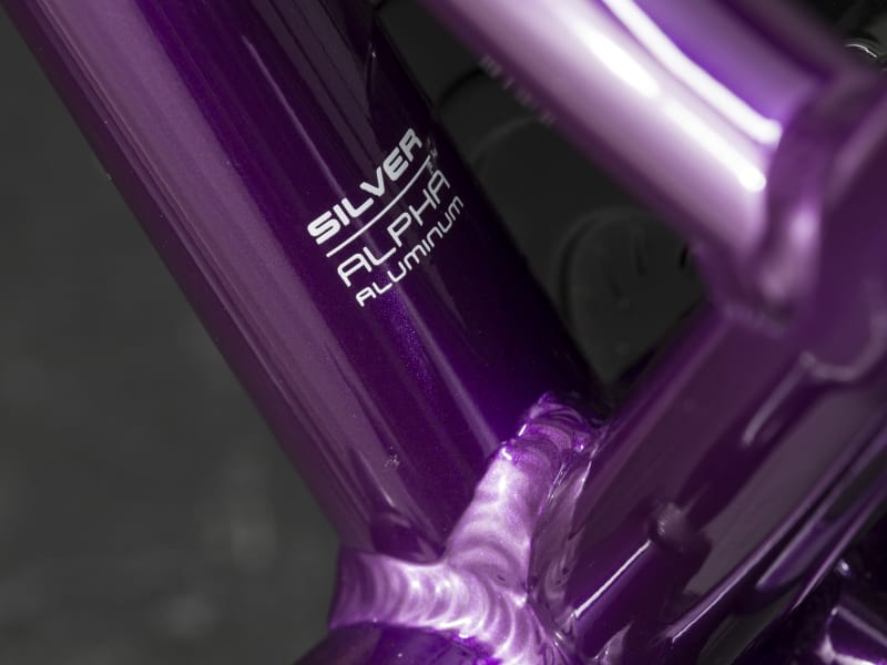 Precaliber 16 Girl s Trek Bikes CA