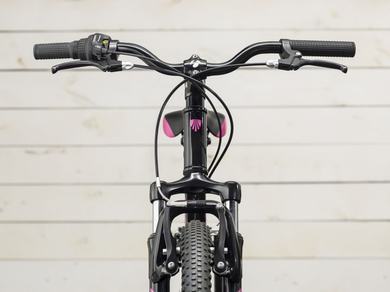 Trek girl store bike 20