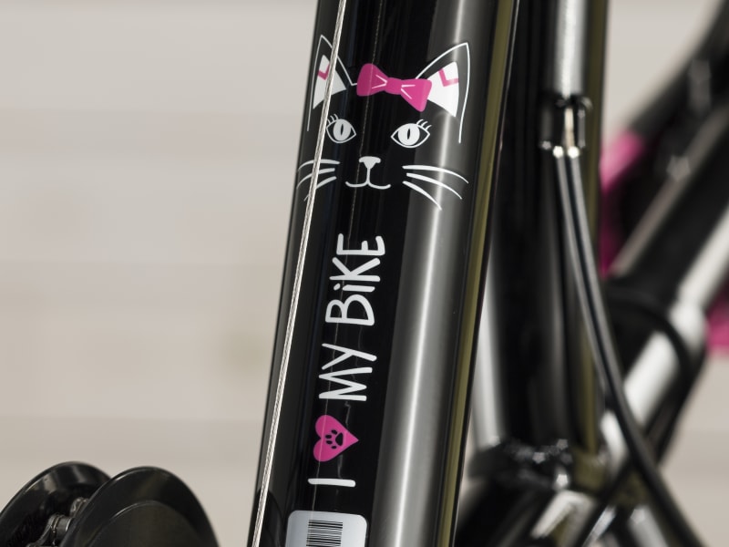 Precaliber 20 6 speed Girl s Trek Bikes CA