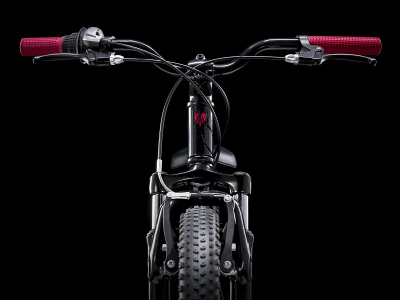 Precaliber 20 7 Gang Trek Bikes CH