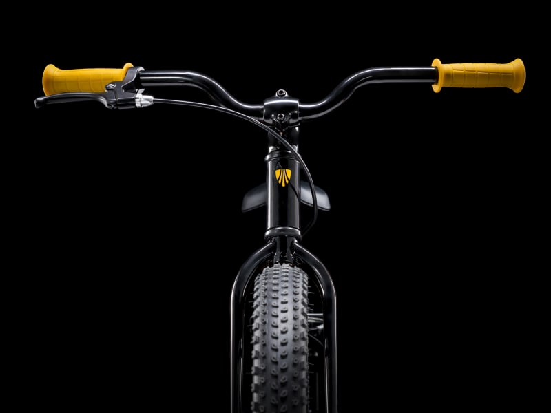 Trek precaliber 20 boys online