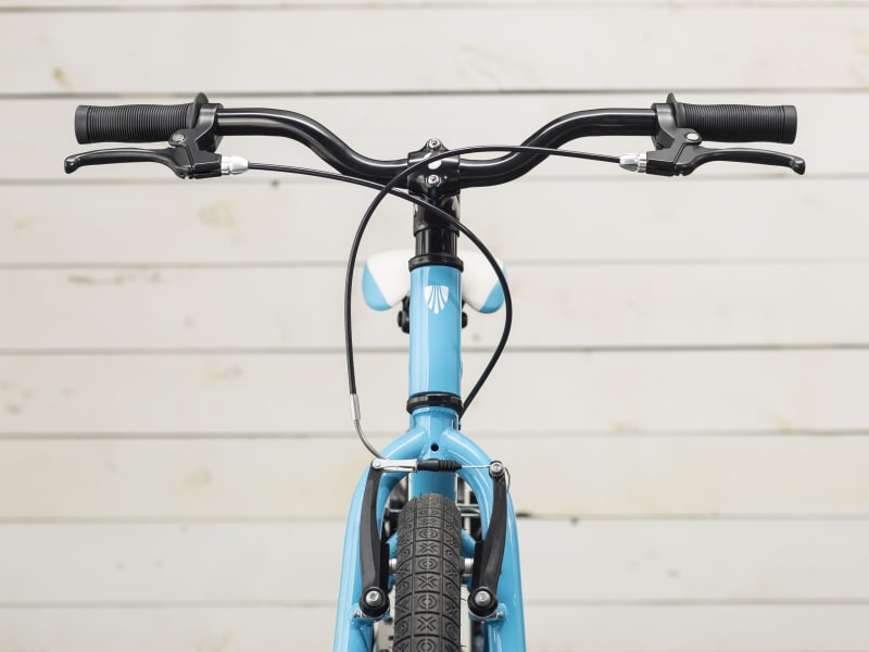 Trek precaliber 20 best sale girls