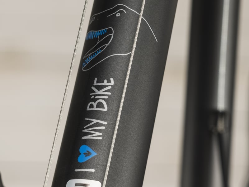 Trek precaliber 24 21 speed online