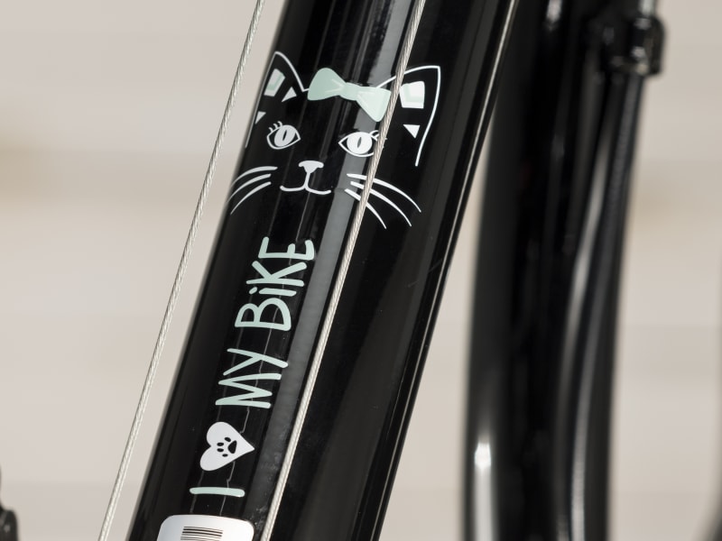 Precaliber 24 21 speed Girl s Trek Bikes