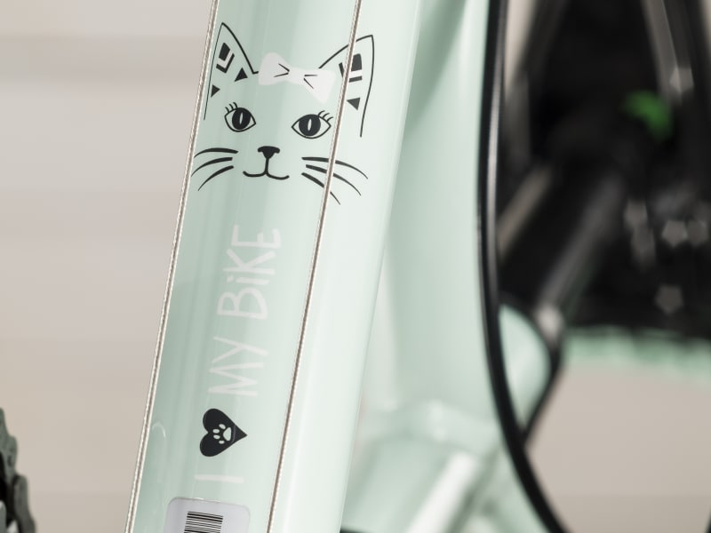 Trek precaliber 24 21 speed new arrivals