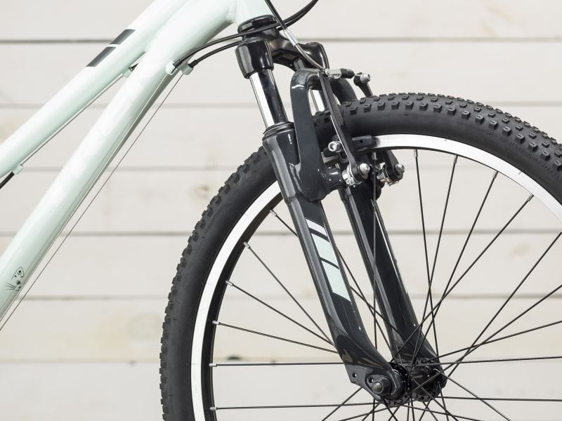 Trek precaliber 24 21 speed online