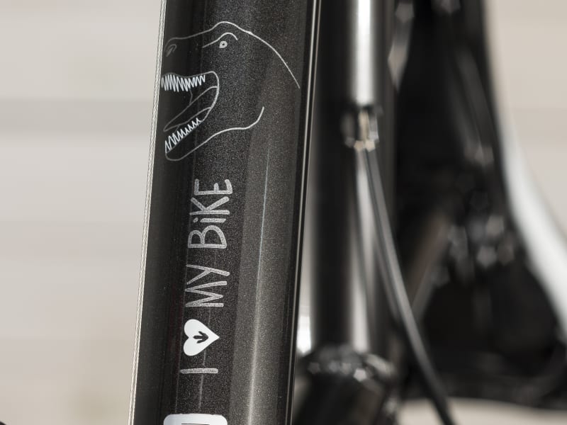 Precaliber 24 7 speed Boy s Trek Bikes CA