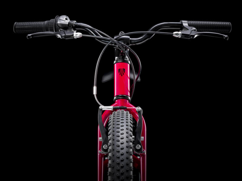 Trek 24 deals girls bike
