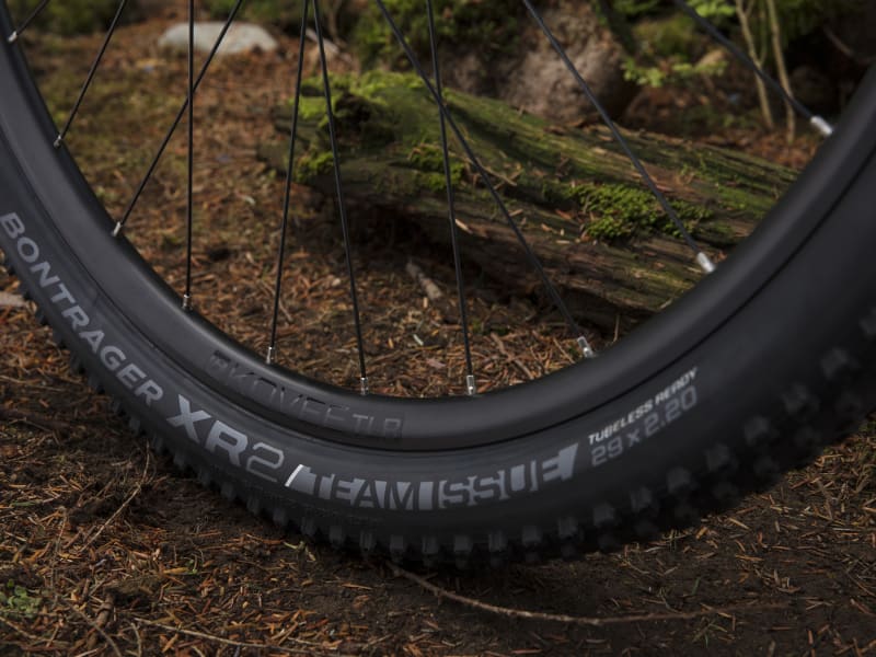 Trek procaliber 6 2019 review clearance