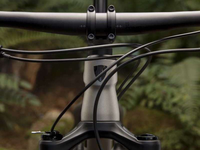 Trek procaliber 6 2019 review shop